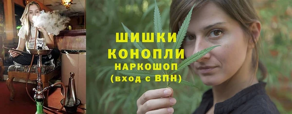 mdpv Белокуриха