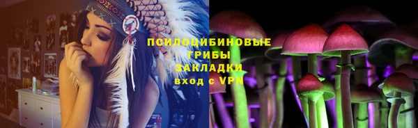 mdpv Белокуриха