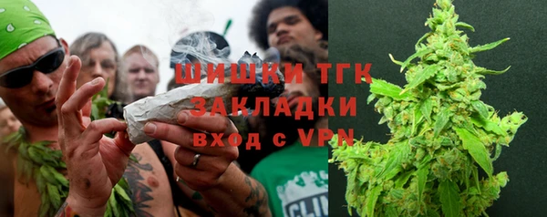 mdpv Белокуриха