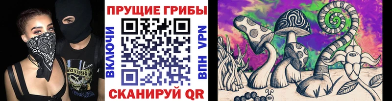 Псилоцибиновые грибы Cubensis  купить наркотики сайты  Саяногорск 